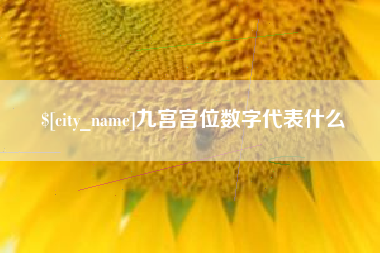 项城九宫宫位数字代表什么