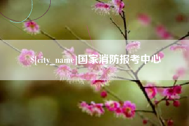 项城国家消防报考中心