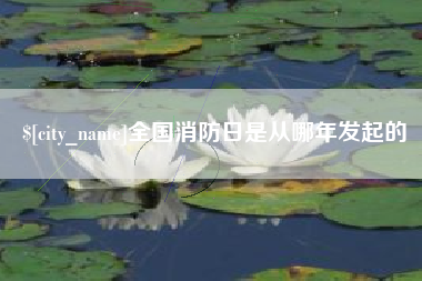 项城全国消防日是从哪年发起的