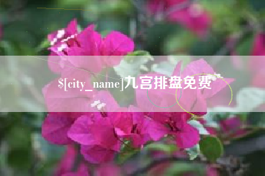 项城九宫排盘免费