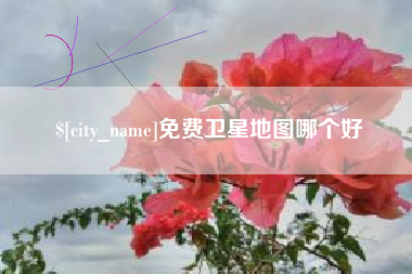 项城免费卫星地图哪个好