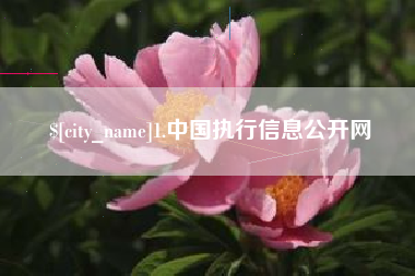 项城1.中国执行信息公开网
