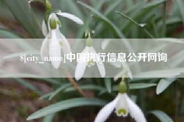 项城中国执行信息公开网询