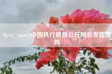 项城中国执行信息公开网会发信息吗