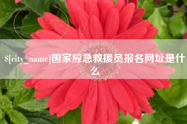 项城国家应急救援员报名网址是什么