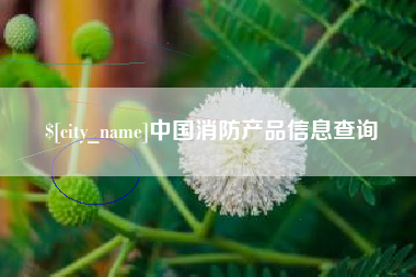 项城中国消防产品信息查询