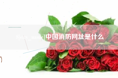 项城中国消防网址是什么
