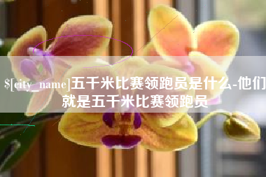 项城五千米比赛领跑员是什么-他们就是五千米比赛领跑员