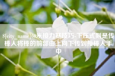 项城60米接力赛技巧-下压式则是传棒人将棒的前部由上向下传到接棒人手中