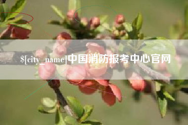 项城中国消防报考中心官网