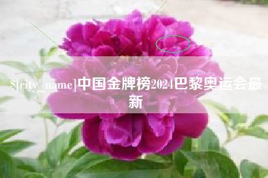 项城中国金牌榜2024巴黎奥运会最新