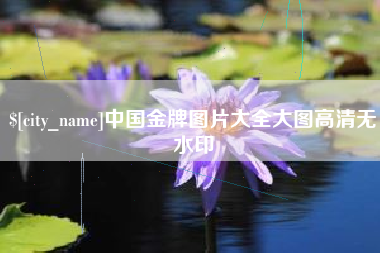项城中国金牌图片大全大图高清无水印