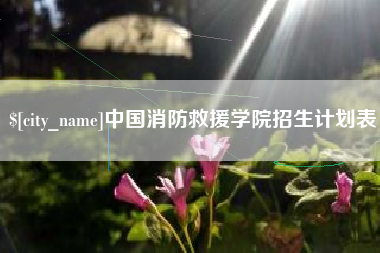 项城中国消防救援学院招生计划表