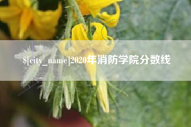 项城2020年消防学院分数线