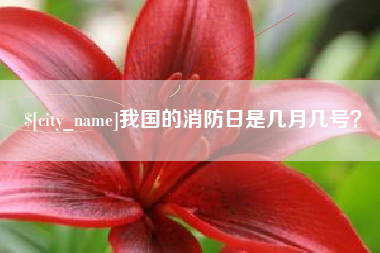 项城我国的消防日是几月几号？