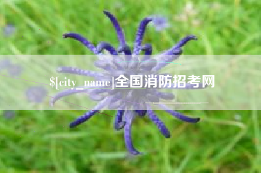 项城全国消防招考网