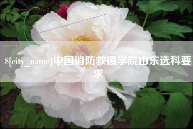 项城中国消防救援学院山东选科要求