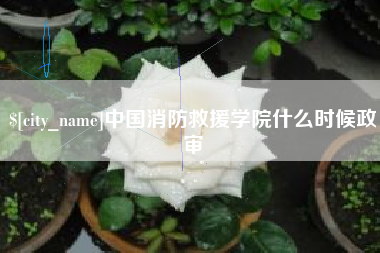 项城中国消防救援学院什么时候政审