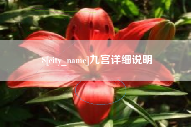项城九宫详细说明