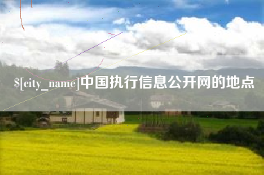 项城中国执行信息公开网的地点