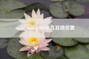 项城2020年九宫格位置
