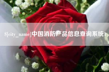 项城中国消防产品信息查询系统1