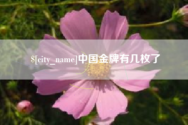 项城中国金牌有几枚了