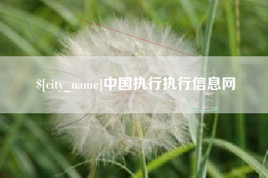 项城中国执行执行信息网