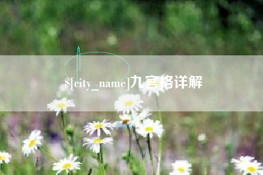 项城九宫格详解
