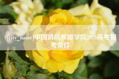 项城中国消防救援学院2020高考报考条件