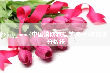 项城中国消防救援学院2021年招生分数线