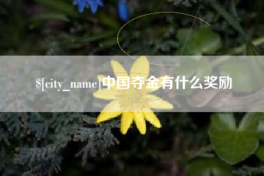 项城中国夺金有什么奖励