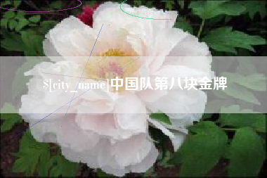 项城中国队第八块金牌