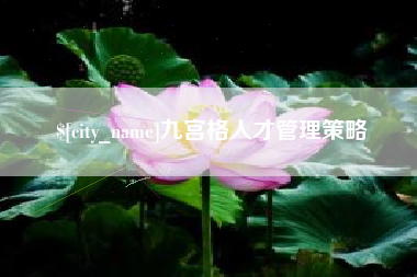 项城九宫格人才管理策略