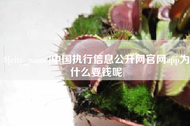 项城中国执行信息公开网官网app为什么要钱呢