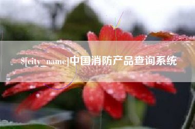 项城中国消防产品查询系统