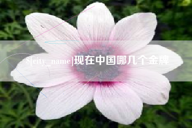 项城现在中国哪几个金牌