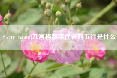 项城九宫格数字代表的五行是什么