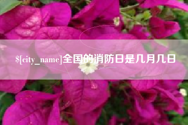 项城全国的消防日是几月几日