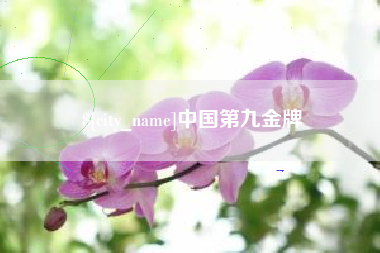 项城中国第九金牌