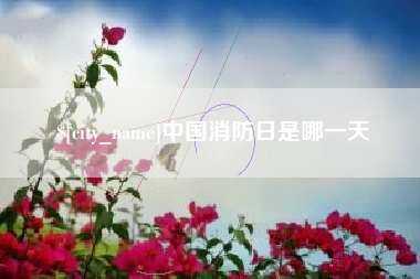 项城中国消防日是哪一天