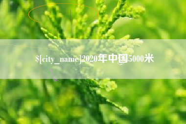 项城2020年中国5000米