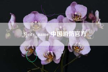 项城中国消防官方