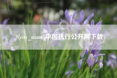 项城中国执行公开网下载