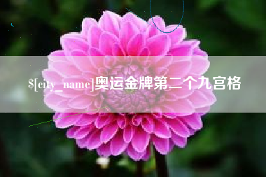 项城奥运金牌第二个九宫格