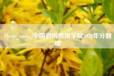 项城中国消防救援学院2020年分数线
