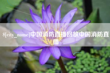 项城中国消防直播回放中国消防直播