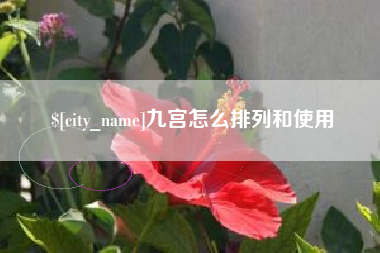 项城九宫怎么排列和使用