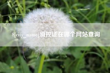 项城消控证在哪个网站查询