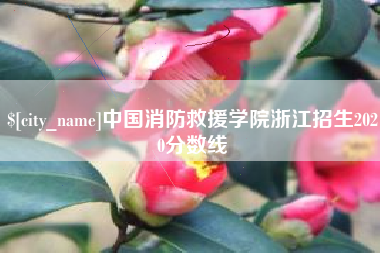 项城中国消防救援学院浙江招生2020分数线